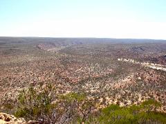 Previous image