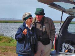 Previous image