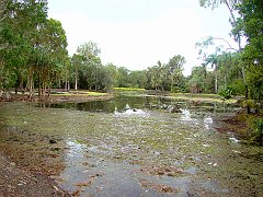0838_Freshwater_Lake_Centenary_Lakes_Cairns