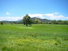 1046_Valley_north_of_Daintree