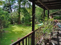 1146_View_from_my_veranda_Red_Mill_House