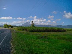 1156_Cane_field_and_mountains