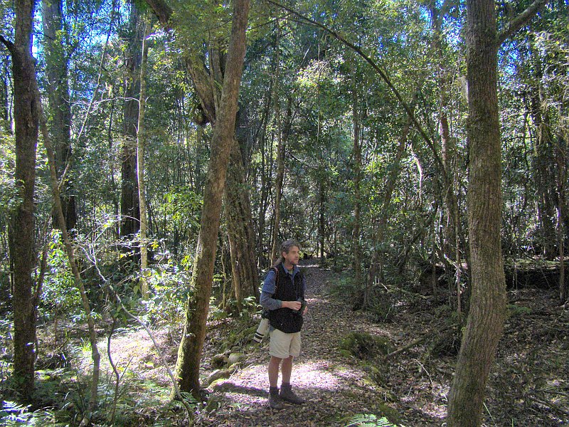 4782_Bird_guide_Mick_in_rainforest.JPG