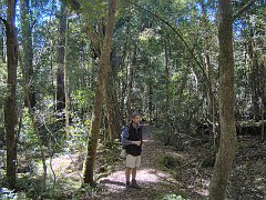 4782_Bird_guide_Mick_in_rainforest