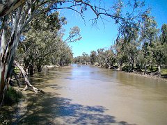 5288_Edward_River_at_Moulamein