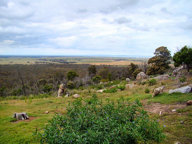 6847_View_from_the_You_Yangs.JPG