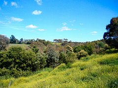 6923_View_from_Werribee_River_walk
