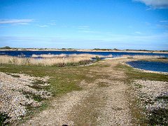 2022_Dungeness_Reserve