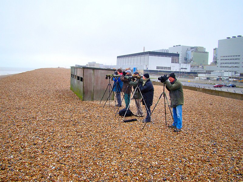 2078_Seawatch_at_Dungeness.JPG