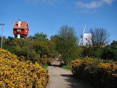 2189_House_and_Windmill