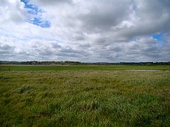 2336_Cley_Marshes_Reserve
