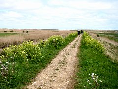 2341_East_Bank_at_Cley