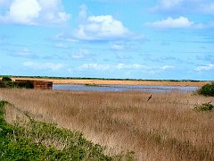 2437_Titchwell_with_Swift_center_right