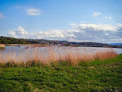 2749_Conwy_RSPB_reserve