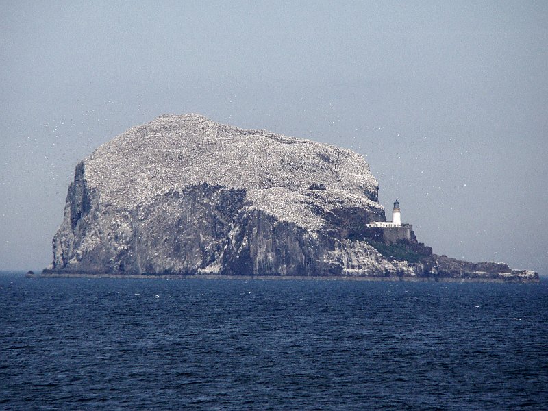 3006_Bass_Rock_covered_with_Gannets.JPG
