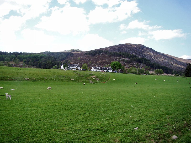 3022_Wester_Delfour_cottages_on_Alvie_Estate.JPG