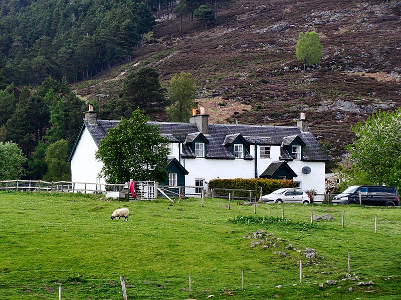 3023_My_semi-detached_cottage_on_left.JPG