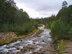 3082_Stream_near_Loch_Morlich