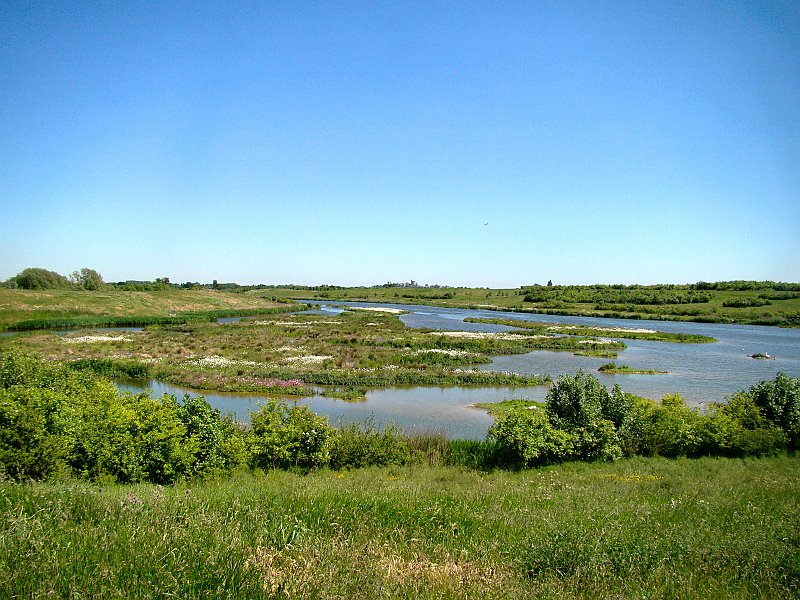 3724_Dorney_Wtlands_with_Windsor_Castle_in_the_distance.JPG