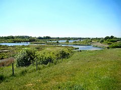 3723_Dorney_Wetlands_and_Jubilee_River