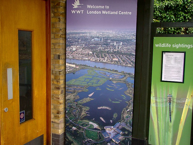 4030_London_Wetland_Centre.JPG