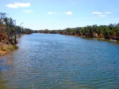 Previous image