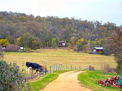 0327_Cottages_at_Wisteria_Cottage