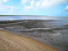 0853_Cairns_Esplanade_dozens_of_birds_in_picture