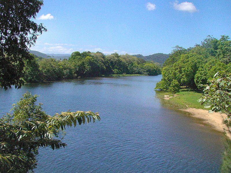 1048_Daintree_River_north_of_Daintree.JPG