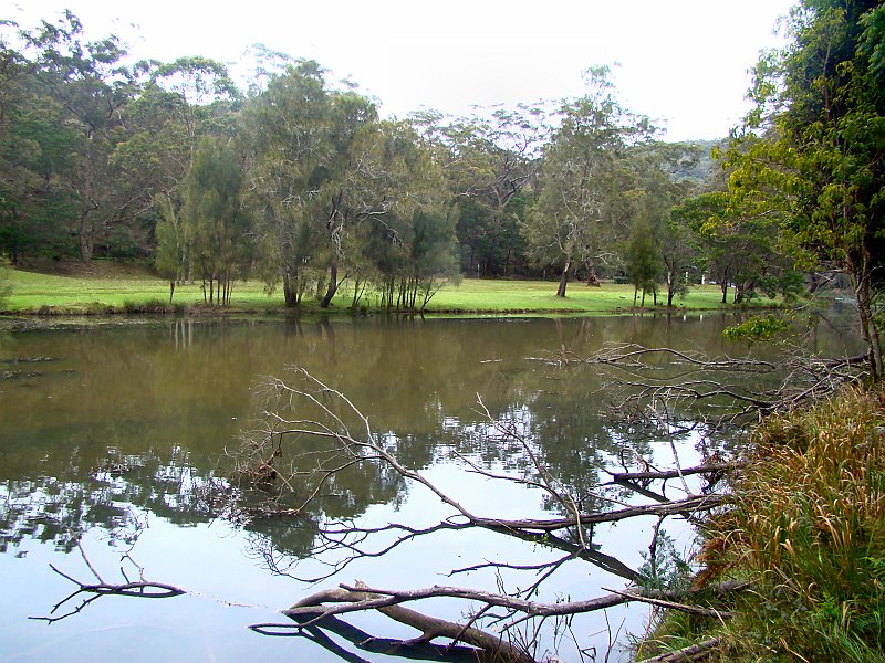 4183_Hacking_River_Royal_NP.JPG
