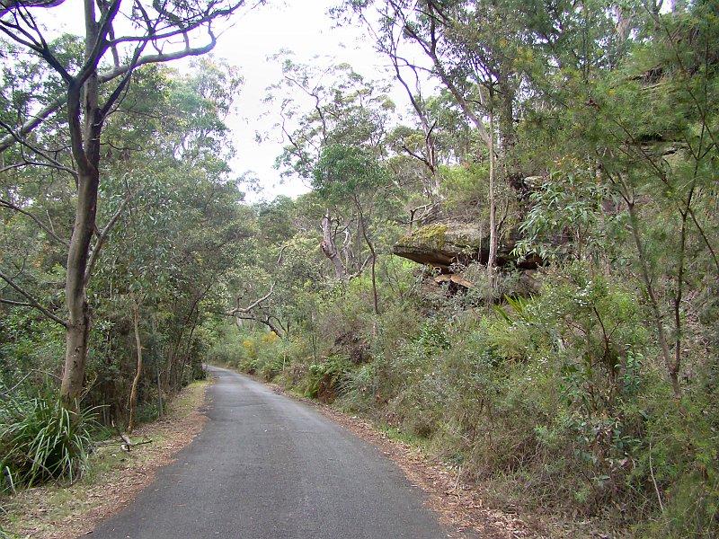 4184_Royal_National_Park.JPG