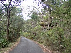 4184_Royal_National_Park