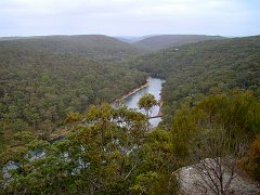 4207_Hacking_River_Royal_NP