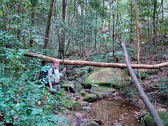 4317_Sydney_birder_Chris