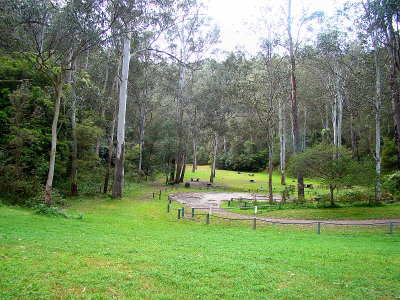 4382_Wheeny_Creek_Wollemi_NP.JPG