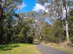 4378_Mitchell_Park