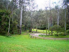 4382_Wheeny_Creek_Wollemi_NP