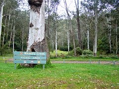 4411_Wheeny_Creek_picnic_area