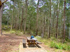 4457_Lunch_in_the_woods