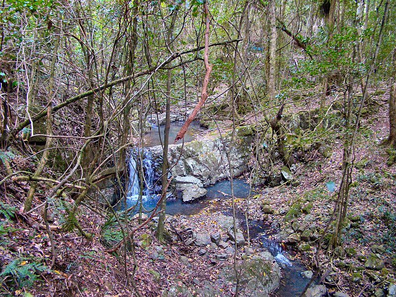 4695_Creek.JPG