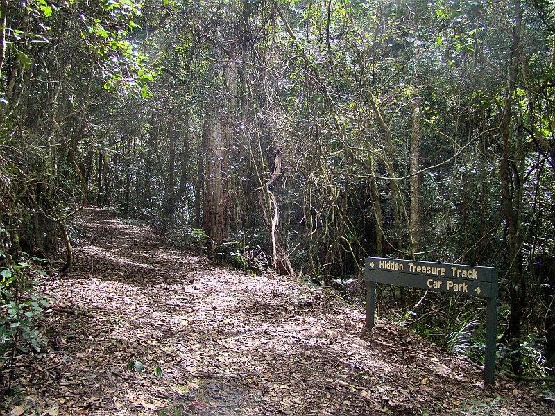 4709_Trail_to_Hidden_Treasure_Mine.JPG