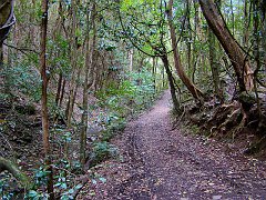 4692_Trail_to_the_Hidden_Treasure_Mine