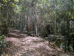 4709_Trail_to_Hidden_Treasure_Mine