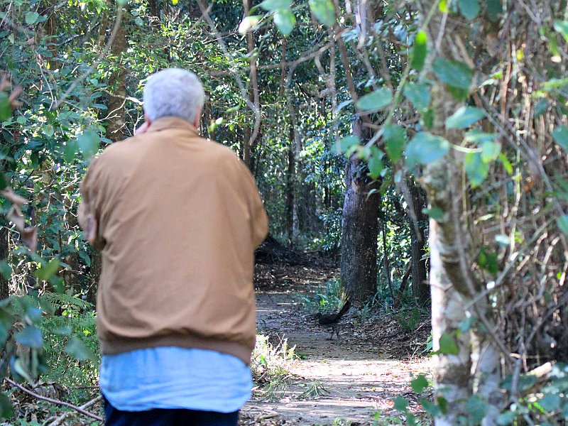 Mick_The_old_rambler_shooting_the_Lyrebird.JPG