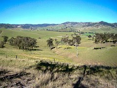 4843_Beautiful_countyside_near_Dungog