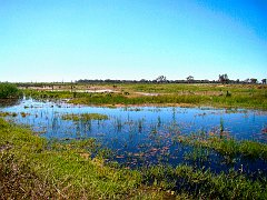 5036_Macquarie_Marshes