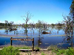 5068_Macquarie_Marshes