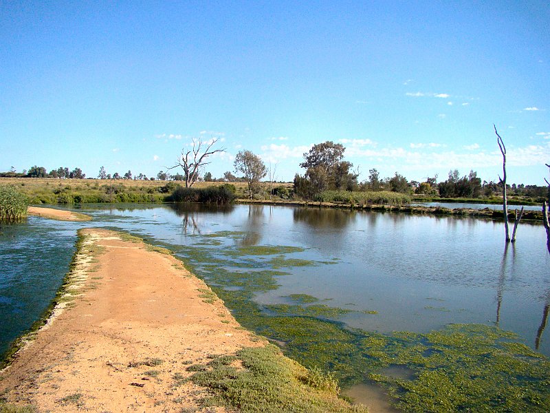 5146_Lake_Cargelligo_STW.JPG