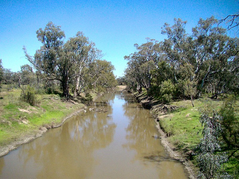 5164_Lachlan_River.JPG
