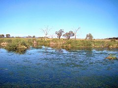 5145_Lake_Cargelligo_STW